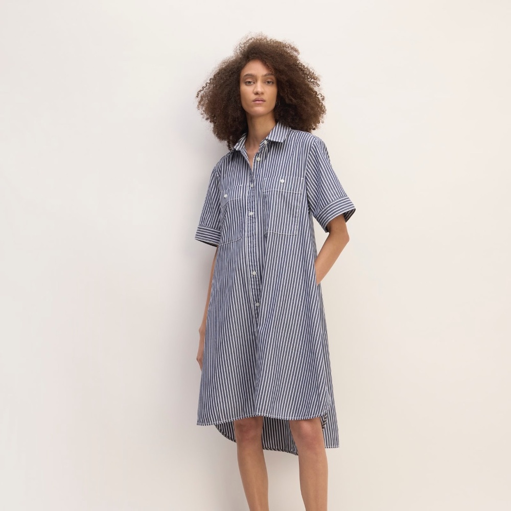 Everlane Blue and White Striped Button-Down Shirt Dress
